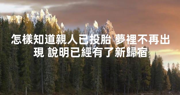 怎樣知道親人已投胎 夢裡不再出現 說明已經有了新歸宿